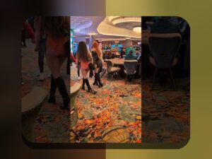 همه چیز درباره بونوس مناسب مبتدیان در سایت شرط بندی: راهنمایی برای شروع مطمئن